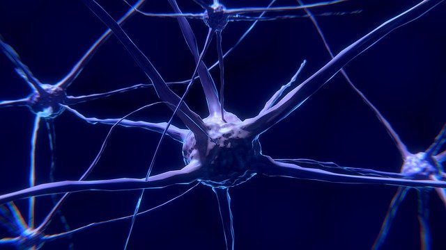 Peptide radioreceptor therapy (PRRT) with Lutetium-177 DOTATOC
